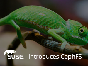 Industry First: SUSE Introduces CephFS