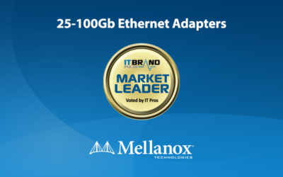 2019 Networking Leaders: 25-100Gb Ethernet Adapters