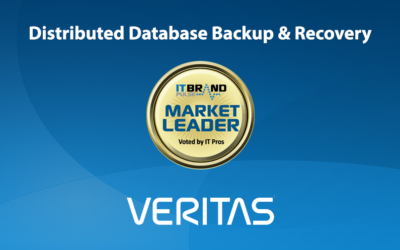 2019 Storage Leaders: Distributed Database Backup & Recovery