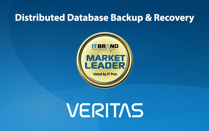2019 Storage Leaders: Distributed Database Backup & Recovery