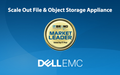 2019 Storage Leaders: Scale Out File & Object Storage Appliances