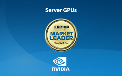 2019 Servers Leaders: Server GPUs