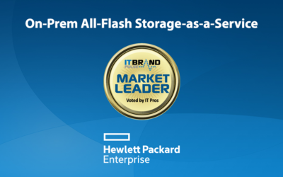 2019 Flash Leaders: On-Prem All-Flash Storage-as-a-Service