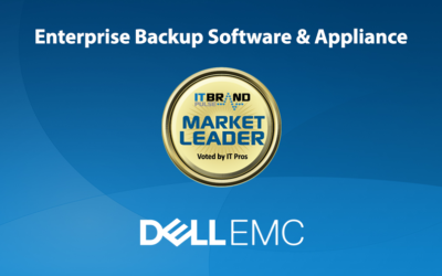 2020 Storage Leaders: Enterprise Backup Software & Appliances