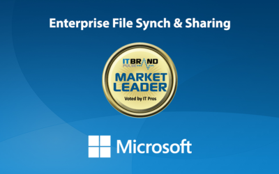 2020 Storage Leaders: Enterprise File Synchronization & Sharing
