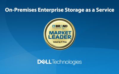 2020 Storage Leaders: On-Premises Enterprise Storage as a Service