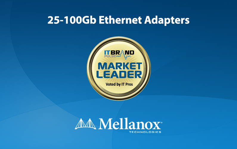 2020 Networking Leaders: 25-100Gb Ethernet Adapters