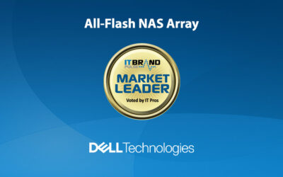 2020 Flash Leaders: All-Flash NAS Array