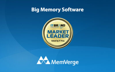 2020 Flash Leaders: Big Memory Software