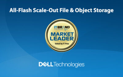 2020 Flash Leaders: All-Flash Scale-Out File & Object Storage Systems