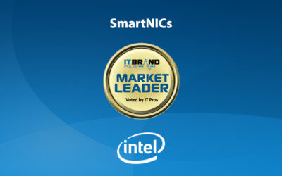 2021 Server Leaders: SmartNICs