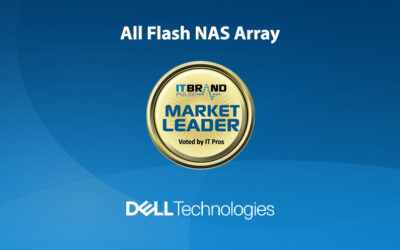 2022 Flash Brand Leaders: All Flash NAS Array