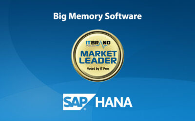 2022 Flash Brand Leaders: Big Memory Software