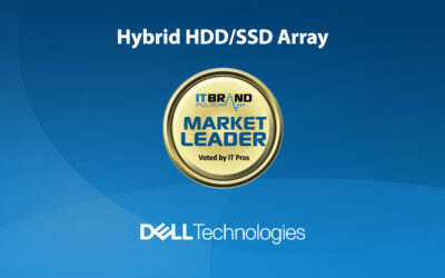 2022 Flash Brand Leaders: Hybrid HDD/SSD Array