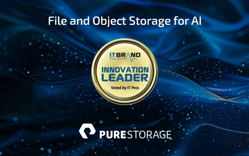 2024 Innovation Leader: File and Object Storage for AI