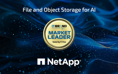 2024 Market Leader: File and Object Storage for AI