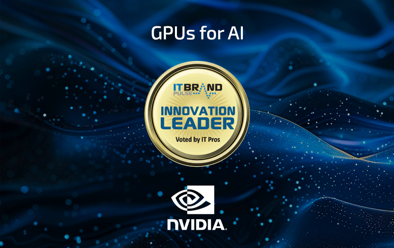 2024 Innovation Leader: GPUs for AI