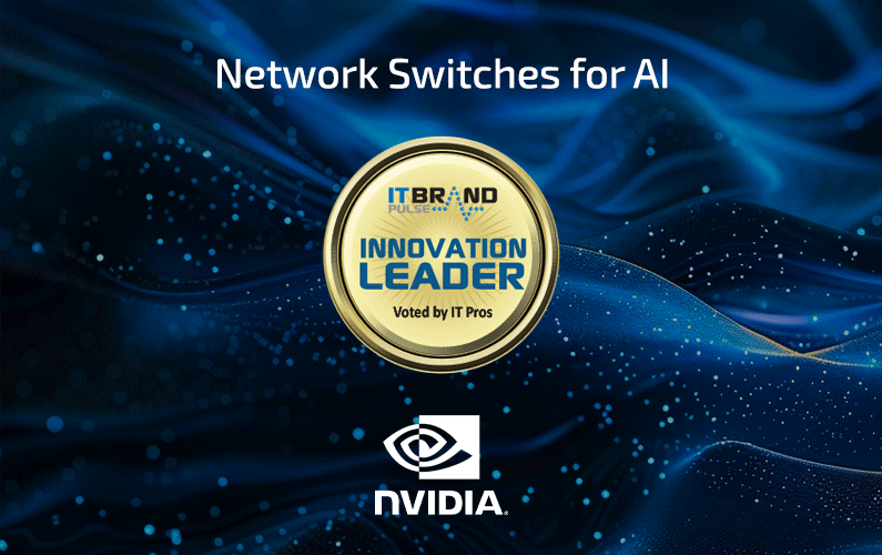 2024 Innovation Leader: Network Switches for AI