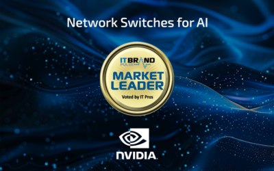 2024 Market Leader: Network Switches for AI