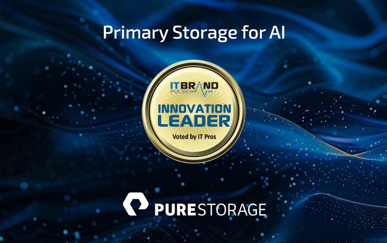 2024 Innovation Leader: Primary Storage for AI