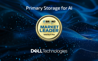 2024 Market Leader: Primary Storage for AI