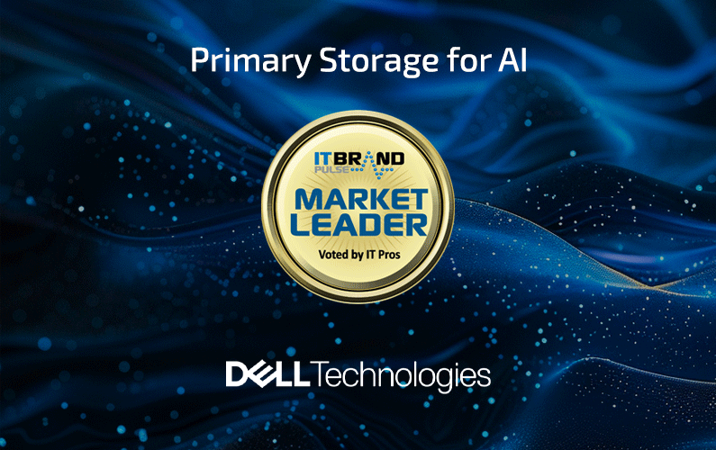 2024 Market Leader: Primary Storage for AI