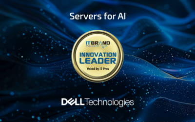 2024 Innovation Leader: Servers for AI