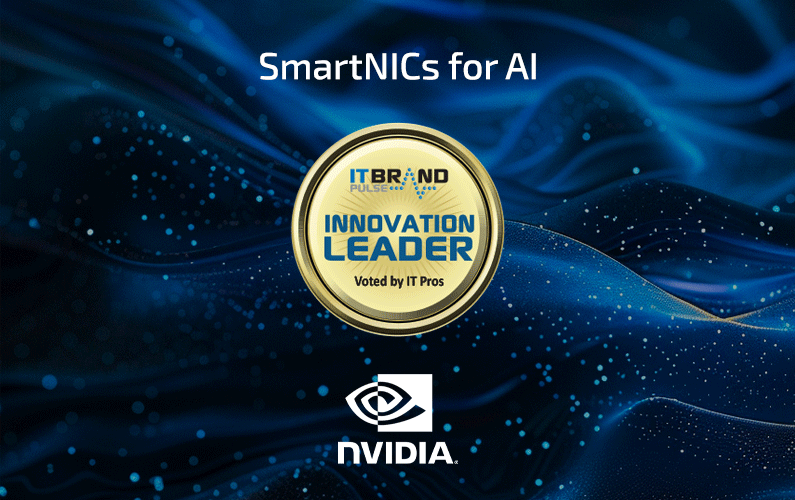 2024 Innovation Leader: SmartNICs for AI