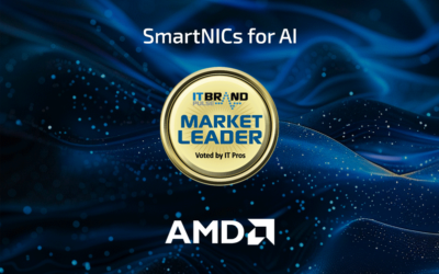 2024 Market Leader: SmartNICs for AI
